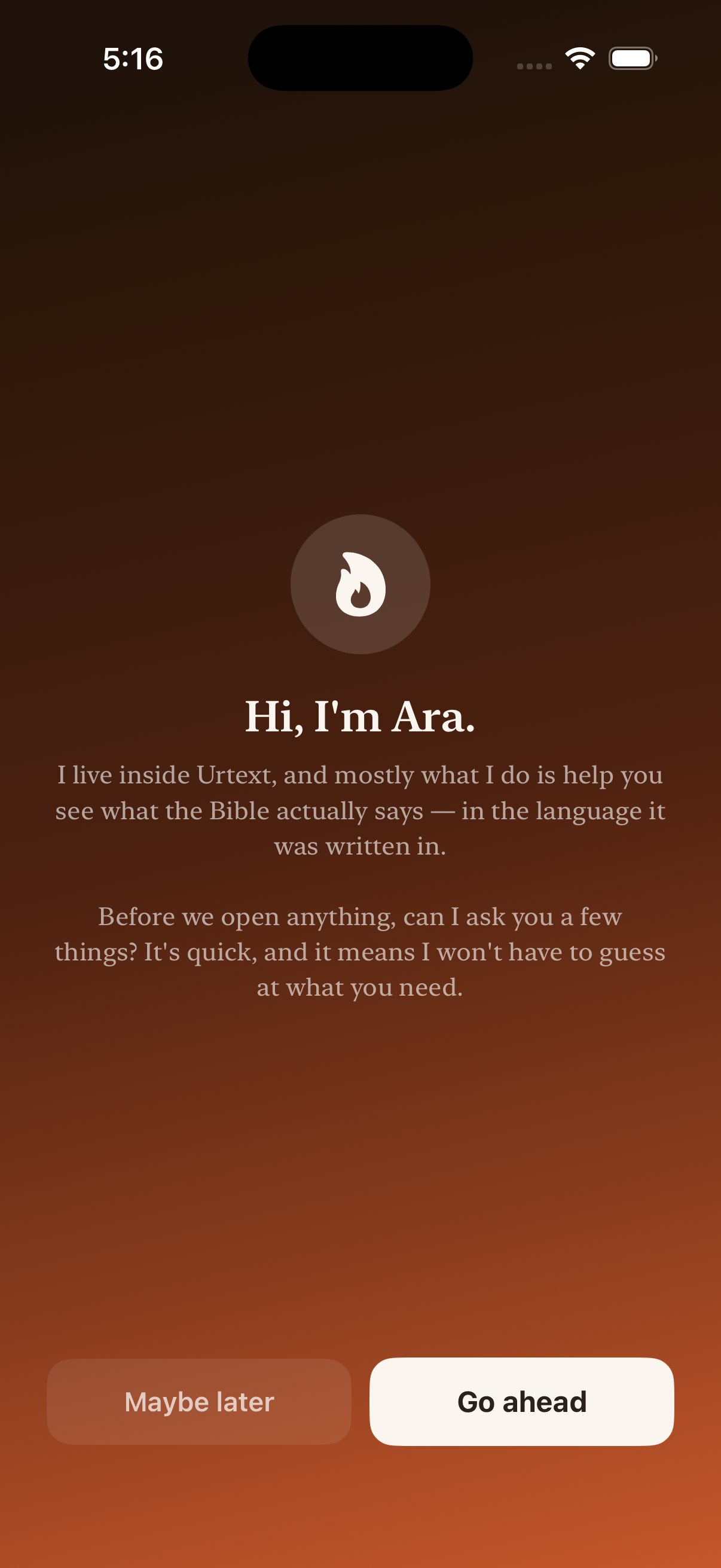 Meet Ara